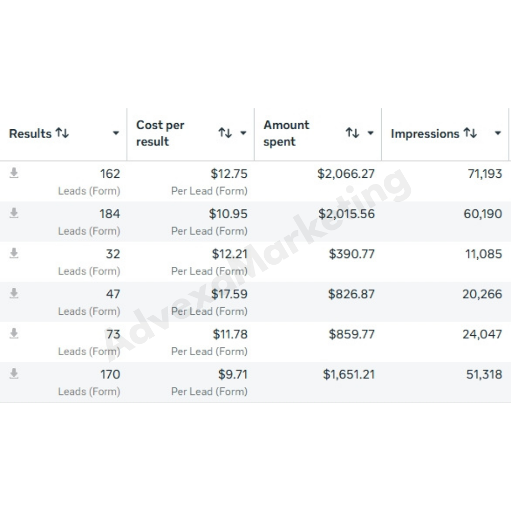 Ads Manager campaign results showing leads, cost per result, and amount spent