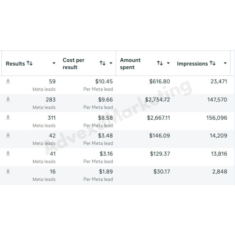 Ads Manager campaign results showing leads, cost per result, and amount spent